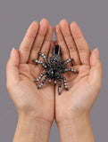 HALLOWEEN - Black Rhinestone Spider Hair Clip